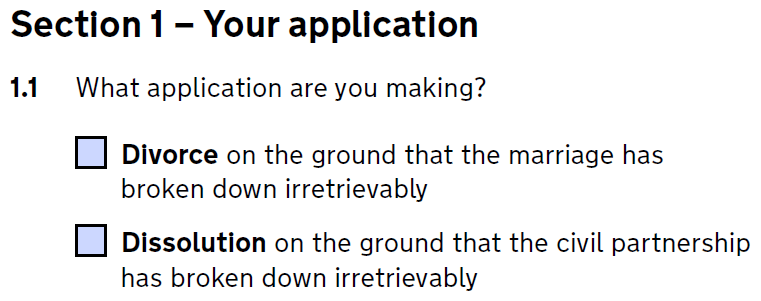 Divorce form D8 section 1.1 - what application are you making?