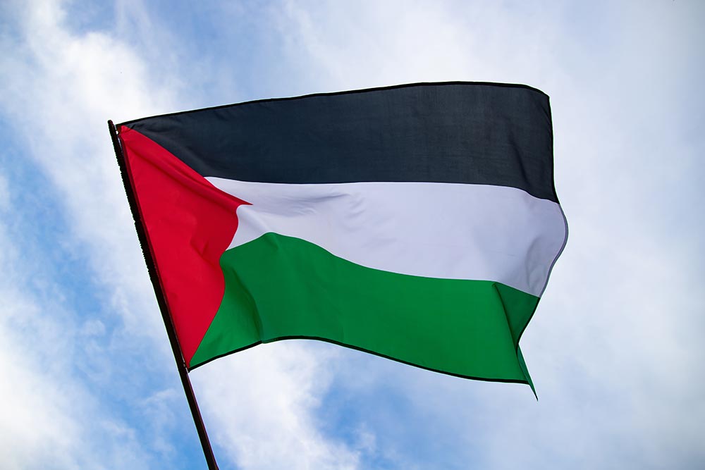 Palestine flag